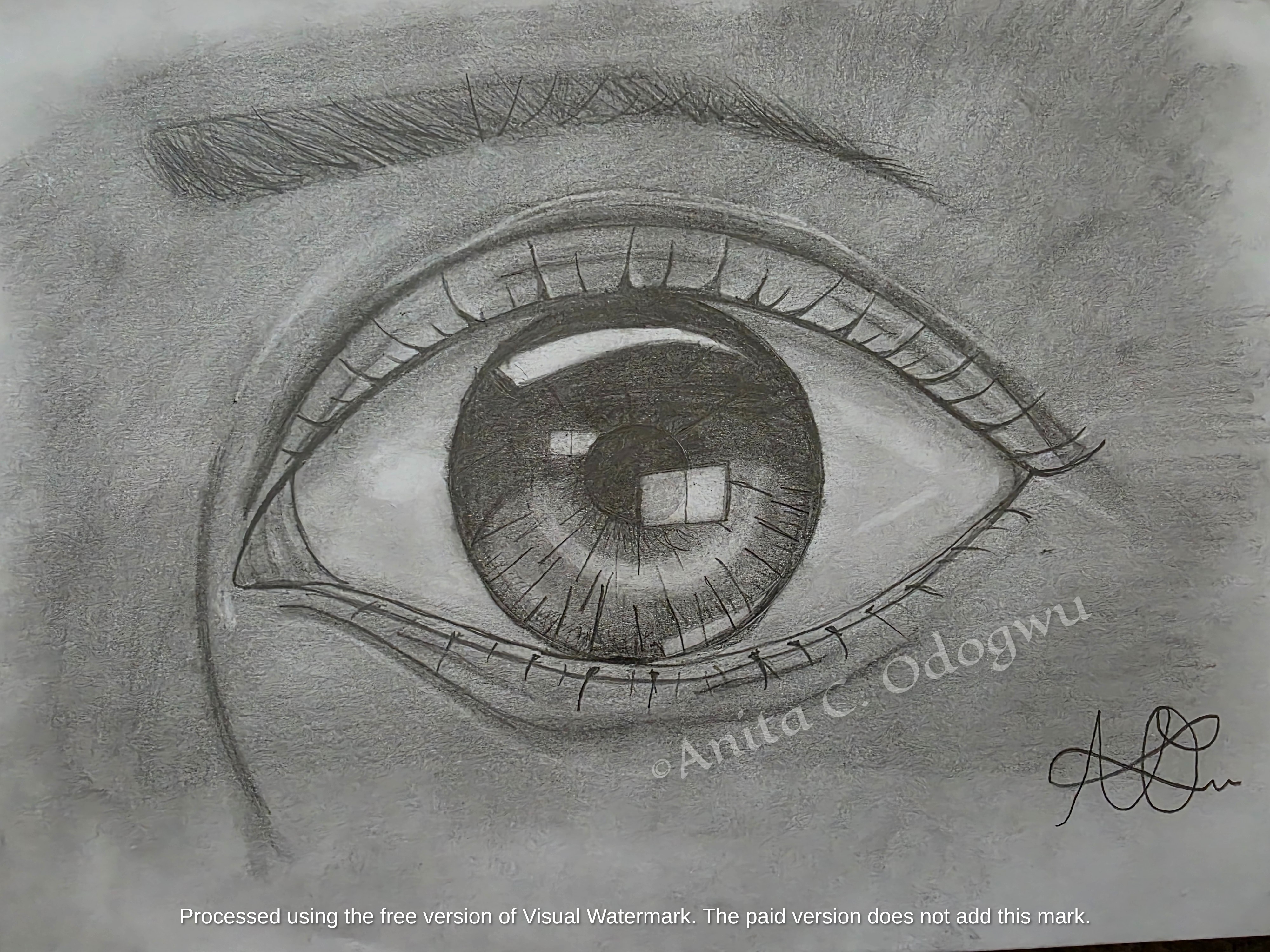 Hyper-realistic black and white eye drawing close-up macro realism sketch